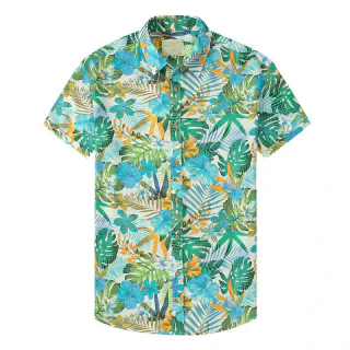 Camisa · 3