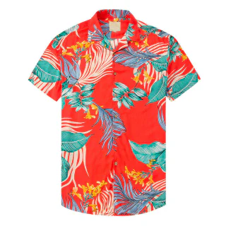 Camisa · 4