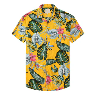 Camisa · 5