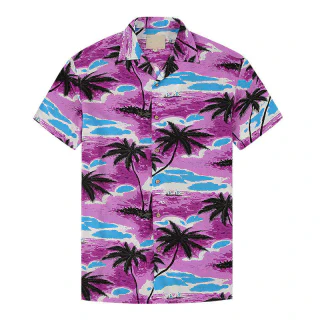 Camisa · 6