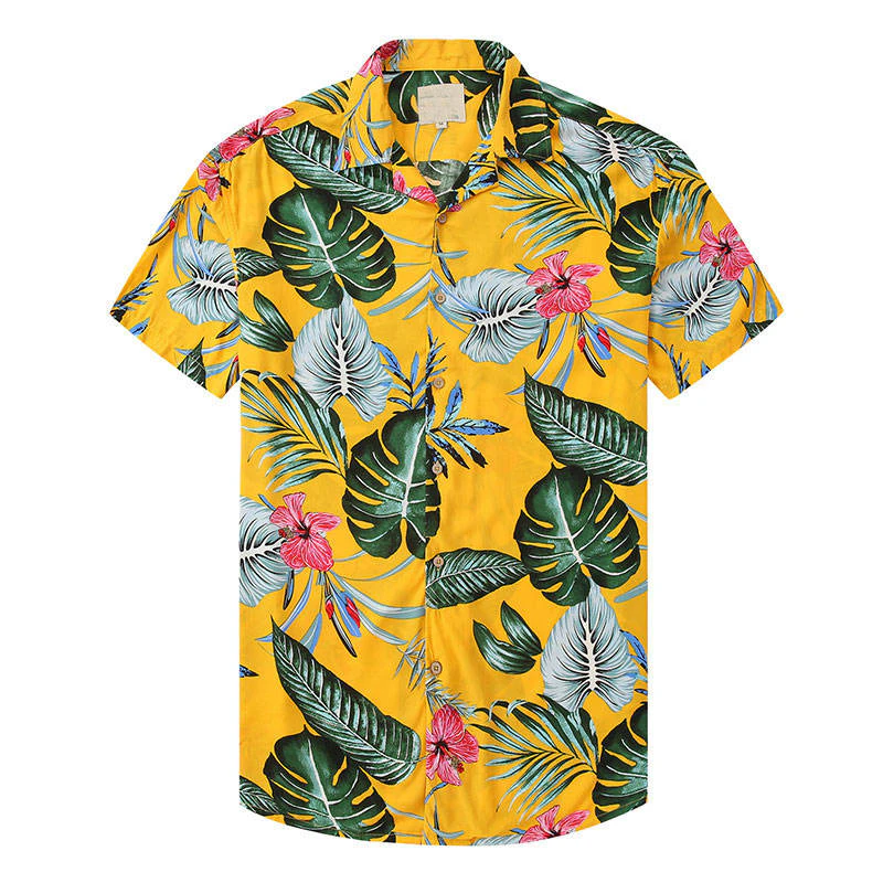 Camisa · 5