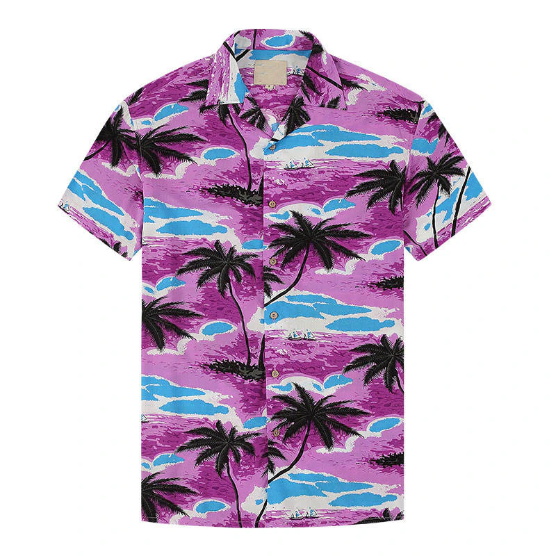 Camisa · 6